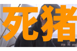 八宿企业清欠服务