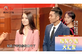 八宿债务清欠服务